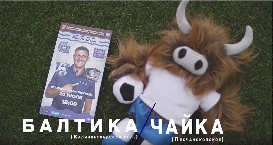 ВОКРУГ МАТЧА "БАЛТИКА" - "ЧАЙКА"